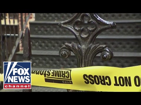 You are currently viewing Tourist escapes alleged captivity and torture in New York City