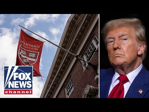 You are currently viewing Dana Perino: This escalated quickly