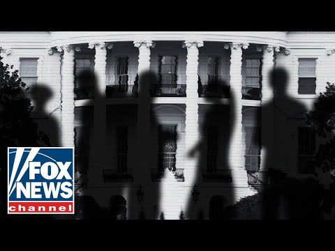 Read more about the article ‘SHADOW’ GOVERNMENT?: Why Dems are the ‘true threat to democracy’