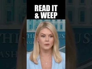 Read more about the article Press Gasps When Told Details of Trump Trade Deal They Said Was Impossible