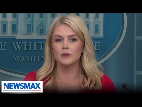 Read more about the article Karoline Leavitt responds to Biden investigation, Israel-Hamas developments, Elon Musk departure