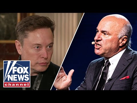 Read more about the article Kevin O’Leary: Elon Musk did a ‘great job’ with DOGE efforts