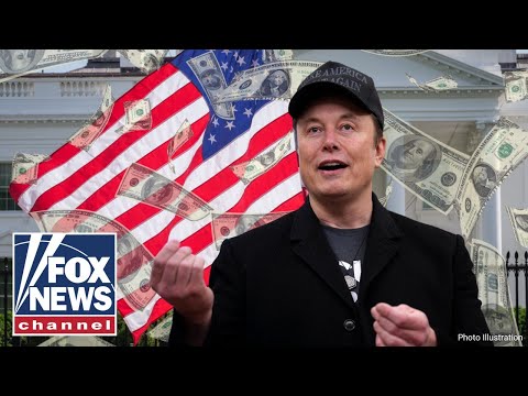 Read more about the article MUSK LEAVES HIS MARK: Tesla boss departs DOGE after slashing BILLIONS