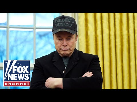 Read more about the article DOGE movement will ‘far outlast’ Musk’s tenure, says GOP lawmaker