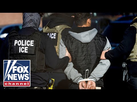 Read more about the article ICE agents facing consequences of Dems’ ‘demonization’: DHS official