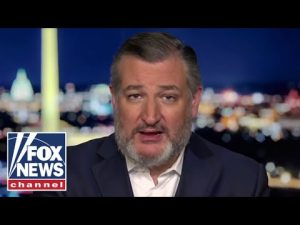 Read more about the article Ted Cruz: The Biden-Harris record was radical, extreme and a failure