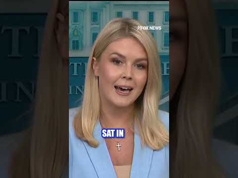 You are currently viewing Leavitt puts Biden admin on blast #foxnews #news #us #shorts #trump #airport #travel #politics