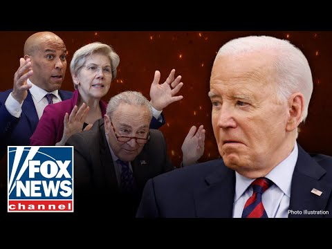 You are currently viewing BURNED BY BIDEN?: Dems can’t escape book drama