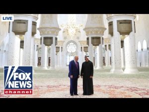 Read more about the article WATCH LIVE: Trump participates in a UAE state visit