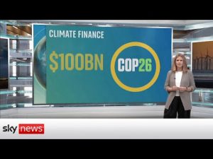 Read more about the article Climate finance: coal, cars, cash and trees