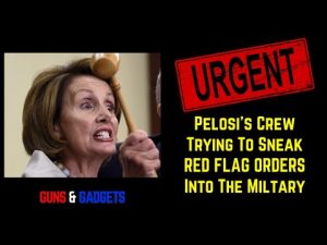 Read more about the article URGENT: Pelosi’s Crew Trying To Sneak RED FLAG ORDERS Into The Military