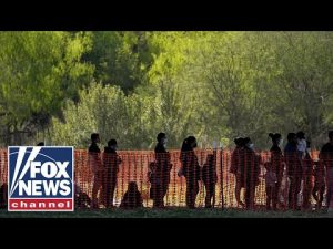 Read more about the article ‘Wide open’ border should concern every American: Fmr. ICE official