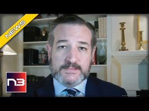 Read more about the article Ted Cruz Backs Democrat Senators In Surprise Move Over Holding Up Spending Bill