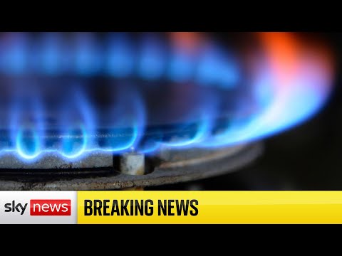 Read more about the article BREAKING: Govt preparing for ‘worst-case scenario’ of gas costs staying high