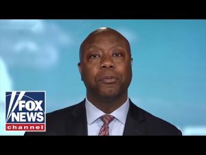 Read more about the article Tim Scott slams Democrats who rejected Israel Iron Dome funds