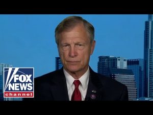 Read more about the article Biden playing ‘shell game’ at border, numbers don’t add up: Rep. Babin