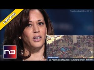 Read more about the article MSNBC Flips Script And Attacks Kamala For What She Did In Hiding During Border Crisis