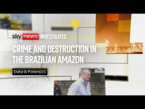 Read more about the article Crime and destruction in the Brazilian Amazon