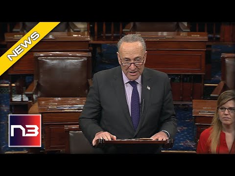 Read more about the article Schumer Blows Gasket On Senate Floor After Republicans Beat Him