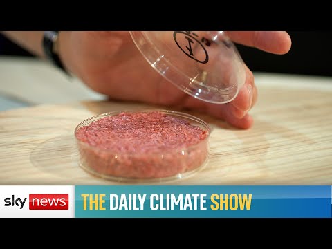 Read more about the article Should we welcome lab-grown meat?