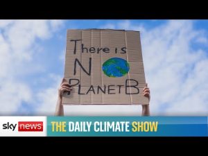 Read more about the article How should we deal with climate anxiety?
