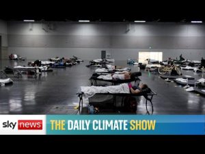 Read more about the article Watch live: WHO warns of ‘health catastrophe’ without climate action