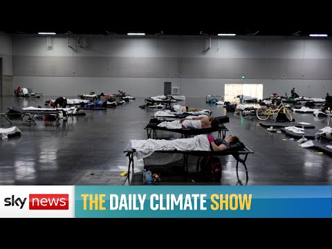 You are currently viewing WHO warns of ‘health catastrophe’ without climate action