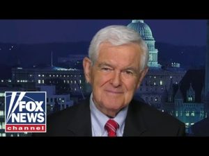 Read more about the article Gingrich blasts ‘cultural war’ imposed on the American people by the Left