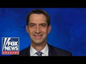 Read more about the article Tom Cotton: Pete Buttigieg couldn’t organize a one car funeral