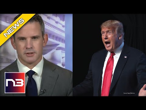 Read more about the article Kinzinger: Trump Could be SUBPOENAED By Congress for this One Thing