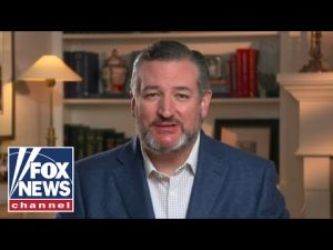 Read more about the article Ted Cruz slams media as ‘partisan propagandists’ covering up real news