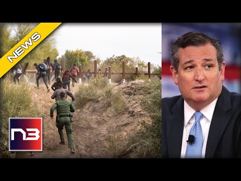 Read more about the article Ted Cruz Ruins Democrat Immigration Plans With A Single Statement