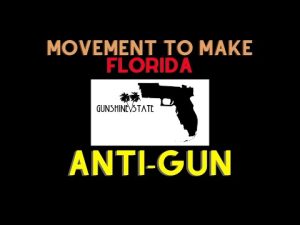 Read more about the article Movement To Make Florida Anti-Gun