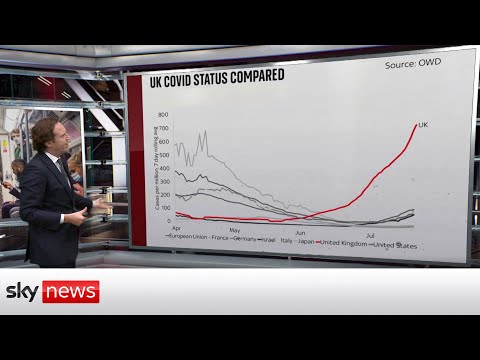 Read more about the article The data behind UK COVID and global death rates