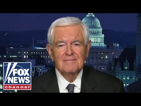 Read more about the article Newt Gingrich: Biden is rejecting reality