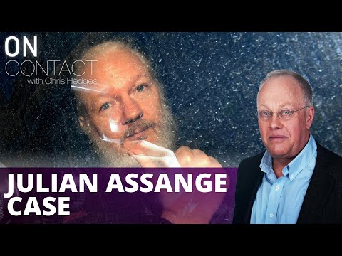 You are currently viewing The Julian Assange case