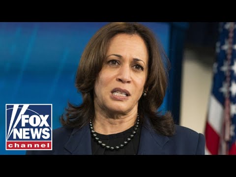 Read more about the article Kamala Harris messes up everything she touches: Rep. Biggs