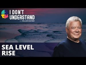 Read more about the article IDU: Sea level rise