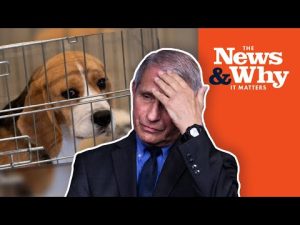 Read more about the article WHAT!? Did Fauci REALLY Fund Cruel Experiments on DOGS? | The News & Why It Matters | Ep 891