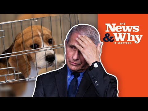 Read more about the article WHAT!? Did Fauci REALLY Fund Cruel Experiments on DOGS? | The News & Why It Matters | Ep 891