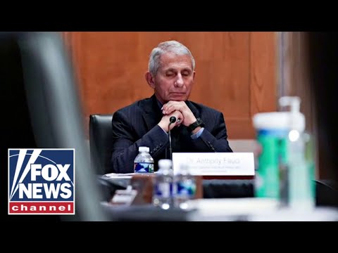 You are currently viewing ‘The Five’ react to Fauci’s continued denial