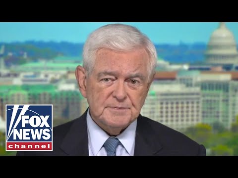 Read more about the article Newt Gingrich accuses Democrats of holding ‘massive’ spending bill ‘hostage’