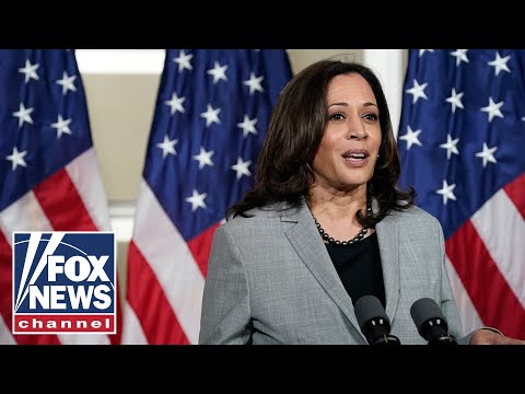 Read more about the article Kamala Harris ripped for prioritizing gender strategy amid multiple crises