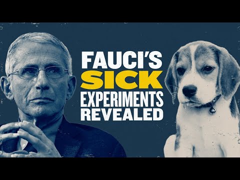 Read more about the article Puppy Murderer? Fauci’s SICK Dog Experiments Revealed | You Are Here