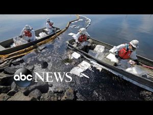 Read more about the article California oil spill, plastic exhibit, La Palma eruption: World in Photos: Oct. 4