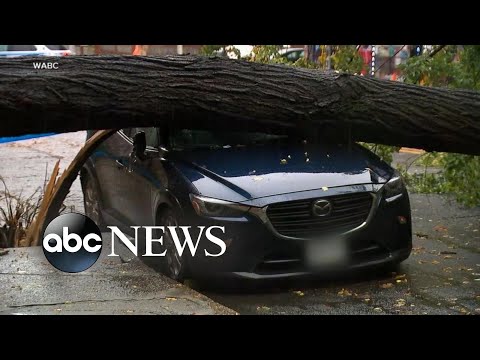 You are currently viewing Nor’easter brings bomb cyclone to New England l GMA