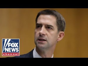 Read more about the article Tom Cotton rails against AG Garland: ‘You should resign in disgrace’