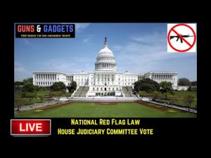 Read more about the article Watch the House Judiciary Committee Vote on the National Red Flag Bill HR2377