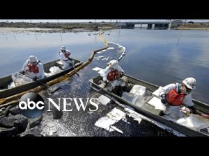 Read more about the article Cleanup underway after oil pipeline bursts off coast of California