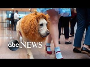 Read more about the article Pet costume parade, migrant caravan, fall scenery: World in Photos, Oct 28